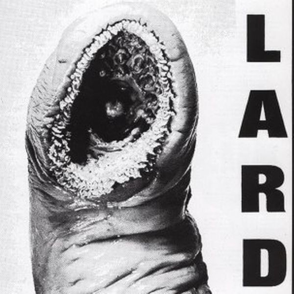 Lard - Power Of Lard i gruppen VINYL / Rock hos Bengans Skivbutik AB (4007993)