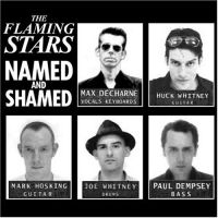 Flaming Stars - Named And Shamed i gruppen CD / Pop-Rock hos Bengans Skivbutik AB (4008201)