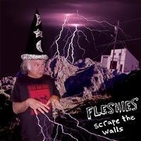 Fleshies - Scrape The Walls i gruppen CD / Pop-Rock hos Bengans Skivbutik AB (4008224)