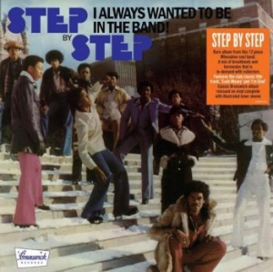 Step By Step - I Always Wanted To Be In The Band ( i gruppen VINYL / Rock hos Bengans Skivbutik AB (4009401)