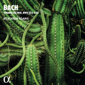 Bach Johann Sebastian - Trio Sonatas For Organ, Bwv 525-530 i gruppen Externt_Lager / Naxoslager hos Bengans Skivbutik AB (4011325)