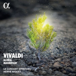 Vivaldi Antonio - Gloria & Magnificat i gruppen Externt_Lager / Naxoslager hos Bengans Skivbutik AB (4011336)