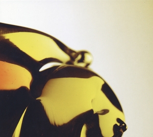 Hooray For Earth - True Loves i gruppen CD / Pop-Rock hos Bengans Skivbutik AB (4011448)