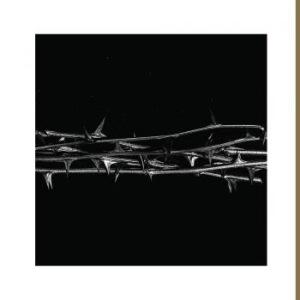 Amenra - De Doorn i gruppen CD / Hårdrock hos Bengans Skivbutik AB (4011460)