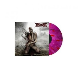 Ingested - Surreption Ii (Pink & Purple Vinyl) i gruppen VINYL / Hårdrock hos Bengans Skivbutik AB (4012483)