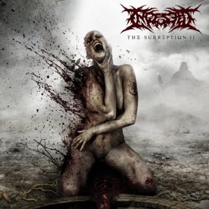 Ingested - Surreption Ii i gruppen CD / Hårdrock hos Bengans Skivbutik AB (4012676)