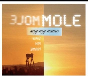 Mole - Say My Name i gruppen CD / Pop hos Bengans Skivbutik AB (401318)