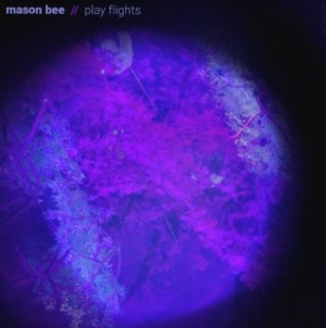 Bee Mason - Play Flights i gruppen VINYL / Rock hos Bengans Skivbutik AB (4014102)