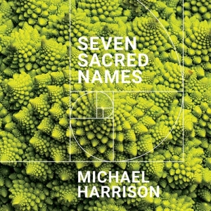 Harrison Michael - Seven Sacred Names i gruppen CD / Nyheter / Klassiskt hos Bengans Skivbutik AB (4014216)