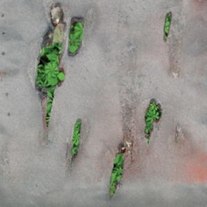 Koreless - Agor i gruppen CD / Dance-Techno hos Bengans Skivbutik AB (4016930)