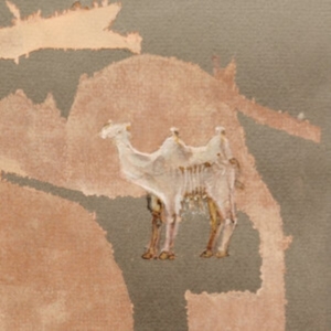 Corsano Maranha Youngs - Corsano Maranha Youngs i gruppen VINYL / Pop-Rock hos Bengans Skivbutik AB (4018371)