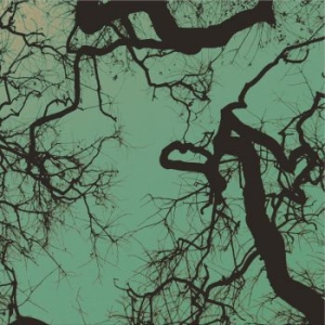 Föllakzoid - Föllakzoid i gruppen VINYL / Pop-Rock hos Bengans Skivbutik AB (4022219)