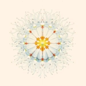 Charlie Charlie - Litte Things i gruppen ÖVRIGT / Övrigt / aub hos Bengans Skivbutik AB (4023022)