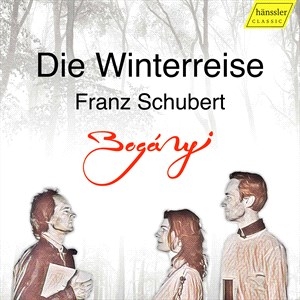 Schubert Franz - Die Winterreise, Op. 89 (Instrument i gruppen Externt_Lager / Naxoslager hos Bengans Skivbutik AB (4024198)