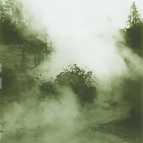 Siebe Megan - Swaying Steady i gruppen VINYL / Rock hos Bengans Skivbutik AB (4026962)