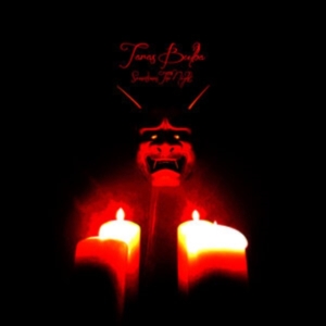 TARAS BULBA - SOMETIMES THE NIGHT i gruppen VINYL / Pop-Rock hos Bengans Skivbutik AB (4027366)