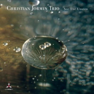 Christian Jormin Trio - See The Unseen i gruppen CD / Jazz hos Bengans Skivbutik AB (4030275)
