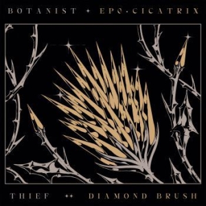 Botanist / Thief - Cicatrix / Diamond Brush i gruppen CD / Hårdrock hos Bengans Skivbutik AB (4031985)