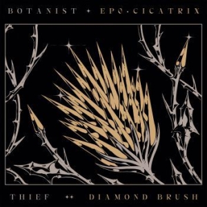 Botanist / Thief - Cicatrix / Diamond Brush i gruppen ÖVRIGT / CDON_Kommande / CDON_Kommande_CD hos Bengans Skivbutik AB (4031985)