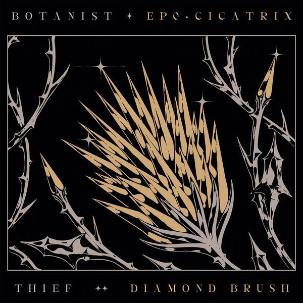 Botanist / Thief - Cicatrix / Diamond Brush i gruppen CD / Hårdrock/ Heavy metal hos Bengans Skivbutik AB (4031985)