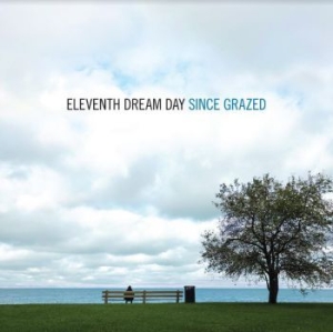 Eleventh Dream Day - Since Grazed i gruppen VINYL / Hårdrock,Pop-Rock hos Bengans Skivbutik AB (4034192)