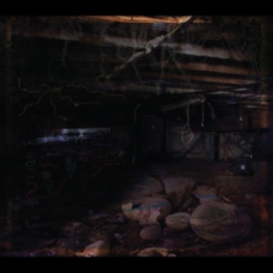 Medeski John - Crawlspace i gruppen CD / Pop-Rock hos Bengans Skivbutik AB (4035448)