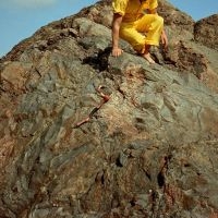 Woomble Roddy - Lo Soul i gruppen VINYL / Pop-Rock hos Bengans Skivbutik AB (4035966)