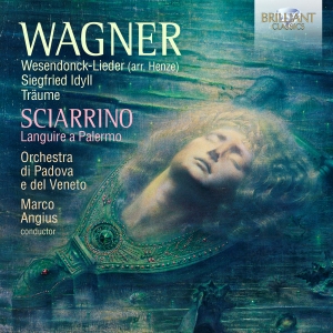Sciarrino Salvatore Wagner Richa - Wagner & Sciarrino: Works i gruppen Externt_Lager / Naxoslager hos Bengans Skivbutik AB (4036449)