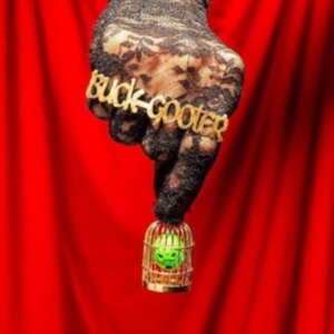 Buck Gooter - Head In A Bird Cage i gruppen VINYL / Pop-Rock hos Bengans Skivbutik AB (4036692)