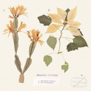 Hatfield Juliana - Christmas Cactus / Red Poinsettia (Color Vinyl/Dl Card) (Rsd) i gruppen VINYL hos Bengans Skivbutik AB (4038299)