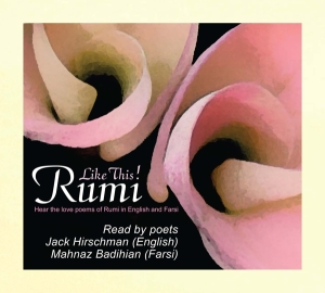 Rumi - Like This i gruppen CD / Pop-Rock,Övrigt hos Bengans Skivbutik AB (4039428)