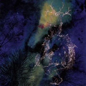 Bardo Pond - Under The Pines i gruppen VINYL / Rock hos Bengans Skivbutik AB (4040039)