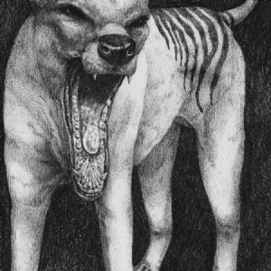 Orochen - Thylacine i gruppen Suicide Records hos Bengans Skivbutik AB (4041960)