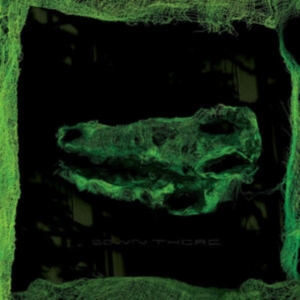 Avey Tare - Down There i gruppen VINYL / Pop-Rock hos Bengans Skivbutik AB (4042632)