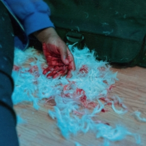 Kaonashi - Dear Lemon House, You Ruined Me: Se i gruppen CD / Hårdrock hos Bengans Skivbutik AB (4044197)