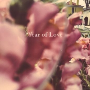 Beta Radio - Year Of Love i gruppen VINYL / Pop-Rock hos Bengans Skivbutik AB (4044629)