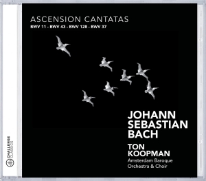 Amsterdam Baroque Orchestra & Ton Koopman - Bach: Ascension Cantatas i gruppen CD / Klassiskt,Övrigt hos Bengans Skivbutik AB (4045613)
