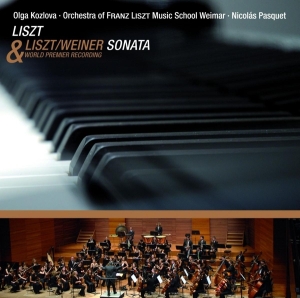 Liszt Franz - Sonata For Piano In B Minor i gruppen CD / Klassiskt,Övrigt hos Bengans Skivbutik AB (4045638)