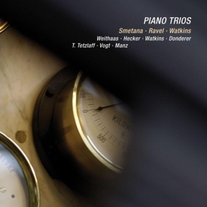 Smetana/Ravel/Watkins - Piano Trio In G Minor Op. i gruppen CD / Klassiskt,Övrigt hos Bengans Skivbutik AB (4046241)