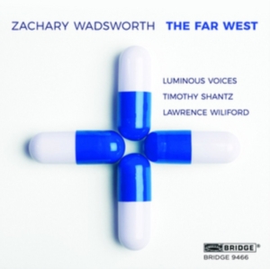 Wadsworth Z. - Far West i gruppen ÖVRIGT / Övrigt / aub hos Bengans Skivbutik AB (4048085)