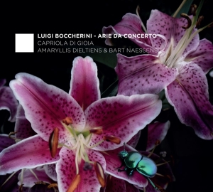 Boccherini L. - Arie Da Concerto i gruppen CD / Klassiskt,Övrigt hos Bengans Skivbutik AB (4048090)