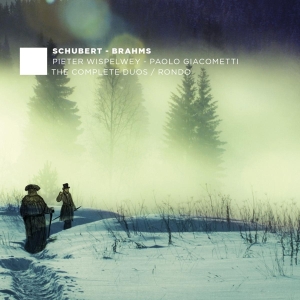 Schubert/Brahms - Complete Duos/Rondo i gruppen CD hos Bengans Skivbutik AB (4048220)
