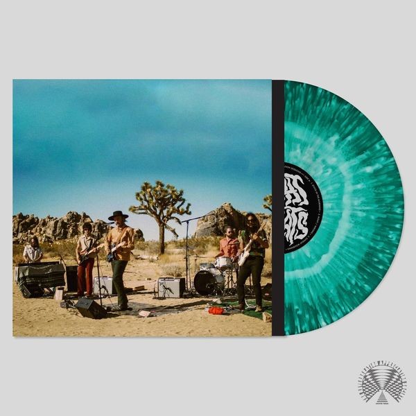 Night Beats - Levitation Sessions i gruppen VINYL / Reggae hos Bengans Skivbutik AB (4052321)