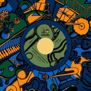 Monsalve Raul Y Los Forajidos - Bichos Remixes i gruppen VINYL / Jazz/Blues hos Bengans Skivbutik AB (4053883)