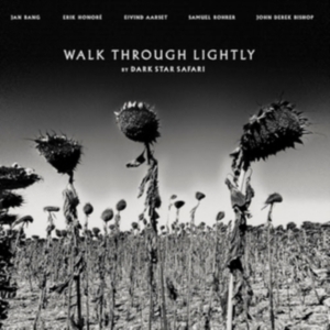 Dark Star Safari - Walk Through Lightly i gruppen VINYL / Pop-Rock hos Bengans Skivbutik AB (4053895)