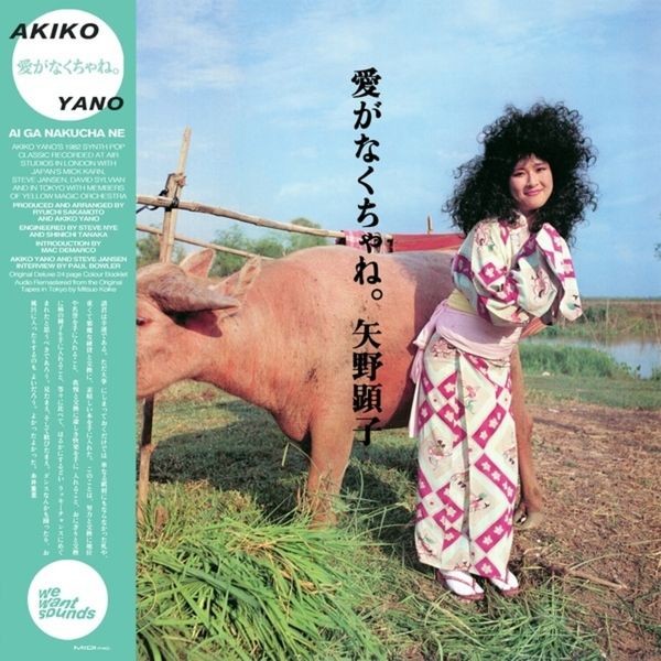 Akiko Yano - Ai Ga Nakucha Ne i gruppen VINYL / Pop-Rock hos Bengans Skivbutik AB (4054123)