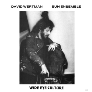 Wertman David And Sun Ensemble - Wide Eye Culture - Deluxe Version i gruppen VINYL / Jazz hos Bengans Skivbutik AB (4054126)