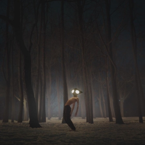 Geese - Projector i gruppen VINYL / Hårdrock,Pop-Rock hos Bengans Skivbutik AB (4054162)