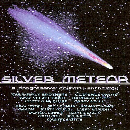 Various Artists - Silver Meteor : A Progressive Count i gruppen CD / Country hos Bengans Skivbutik AB (4054254)