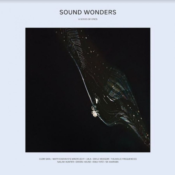 Various Artists - Sound Wonders i gruppen VINYL / Toppsäljare hos Bengans Skivbutik AB (4056791)
